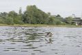 Faltbootfahrt von Pieschen zur Waldschlößchenbrückenbau-Stelle und zurück