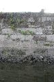 Faltbootfahrt von Pieschen zur Waldschlößchenbrückenbau-Stelle und zurück