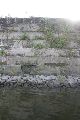 Faltbootfahrt von Pieschen zur Waldschlößchenbrückenbau-Stelle und zurück