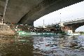 Faltbootfahrt von Pieschen zur Waldschlößchenbrückenbau-Stelle und zurück