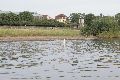 Faltbootfahrt von Pieschen zur Waldschlößchenbrückenbau-Stelle und zurück