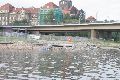 Faltbootfahrt von Pieschen zur Waldschlößchenbrückenbau-Stelle und zurück