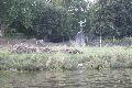 Faltbootfahrt von Pieschen zur Waldschlößchenbrückenbau-Stelle und zurück