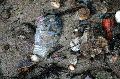 Faltbootfahrt von Pieschen zur Waldschlößchenbrückenbau-Stelle und zurück