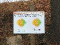 Plakate, Graffitis, Werbung,Aufkleber,  Kunst oder Ähnliches in der Neustadt-Antonstadt, Politisches und Unpolitisches