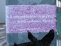 Plakate, Graffitis, Werbung,Aufkleber,  Kunst oder Ähnliches in der Neustadt-Antonstadt, Politisches und Unpolitisches