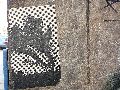Plakate, Graffitis, Werbung,Aufkleber,  Kunst oder Ähnliches in der Neustadt-Antonstadt, Politisches und Unpolitisches