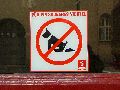 Plakate, Graffitis, Werbung,Aufkleber,  Kunst oder Ähnliches in der Neustadt-Antonstadt, Politisches und Unpolitisches