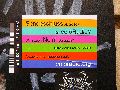 Plakate, Graffitis, Werbung,Aufkleber,  Kunst oder Ähnliches in der Neustadt-Antonstadt, Politisches und Unpolitisches