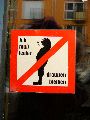 Plakate, Graffitis, Werbung,Aufkleber,  Kunst oder Ähnliches in der Neustadt-Antonstadt, Politisches und Unpolitisches