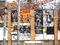 Plakate, Graffitis, Werbung,Aufkleber,  Kunst oder Ähnliches in der Neustadt-Antonstadt, Politisches und Unpolitisches