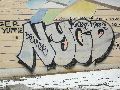 Plakate, Graffitis, Werbung,Aufkleber,  Kunst oder Ähnliches in der Neustadt-Antonstadt, Politisches und Unpolitisches