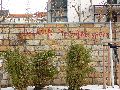 Plakate, Graffitis, Werbung,Aufkleber,  Kunst oder Ähnliches in der Neustadt-Antonstadt, Politisches und Unpolitisches