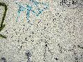 Plakate, Graffitis, Werbung,Aufkleber,  Kunst oder Ähnliches in der Neustadt-Antonstadt, Politisches und Unpolitisches
