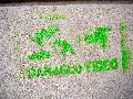 Plakate, Graffitis, Werbung,Aufkleber,  Kunst oder Ähnliches in der Neustadt-Antonstadt, Politisches und Unpolitisches