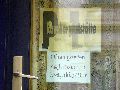 Plakate, Graffitis, Werbung,Aufkleber,  Kunst oder Ähnliches in der Neustadt-Antonstadt, Politisches und Unpolitisches
