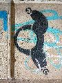Plakate, Graffitis, Werbung,Aufkleber,  Kunst oder Ähnliches in der Neustadt-Antonstadt, Politisches und Unpolitisches