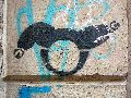Plakate, Graffitis, Werbung,Aufkleber,  Kunst oder Ähnliches in der Neustadt-Antonstadt, Politisches und Unpolitisches