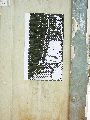 Plakate, Graffitis, Werbung,Aufkleber,  Kunst oder Ähnliches in der Neustadt-Antonstadt, Politisches und Unpolitisches