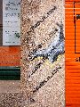 Plakate, Graffitis, Werbung,Aufkleber,  Kunst oder Ähnliches in der Neustadt-Antonstadt, Politisches und Unpolitisches