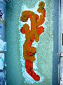 Plakate, Graffitis, Werbung,Aufkleber,  Kunst oder Ähnliches in der Neustadt-Antonstadt, Politisches und Unpolitisches