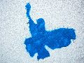 Plakate, Graffitis, Werbung,Aufkleber,  Kunst oder Ähnliches in der Neustadt-Antonstadt, Politisches und Unpolitisches