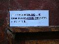 Plakate, Graffitis, Werbung,Aufkleber,  Kunst oder Ähnliches in der Neustadt-Antonstadt, Politisches und Unpolitisches