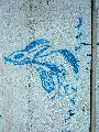 Plakate, Graffitis, Werbung,Aufkleber,  Kunst oder Ähnliches in der Neustadt-Antonstadt, Politisches und Unpolitisches