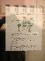 Plakate, Graffitis, Werbung,Aufkleber,  Kunst oder Ähnliches in der Neustadt-Antonstadt, Politisches und Unpolitisches