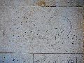 Plakate, Graffitis, Werbung,Aufkleber,  Kunst oder Ähnliches in der Neustadt-Antonstadt, Politisches und Unpolitisches