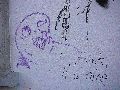 Plakate, Graffitis, Werbung,Aufkleber,  Kunst oder Ähnliches in der Neustadt-Antonstadt, Politisches und Unpolitisches