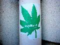 Plakate, Graffitis, Werbung,Aufkleber,  Kunst oder Ähnliches in der Neustadt-Antonstadt, Politisches und Unpolitisches