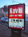 Plakate, Graffitis, Werbung,Aufkleber,  Kunst oder Ähnliches in der Neustadt-Antonstadt, Politisches und Unpolitisches