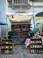 Bunte Republik Neustadt-2010