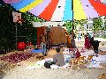 Bunte Republik Neustadt-2010