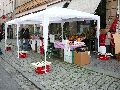 Bunte Republik Neustadt-2010