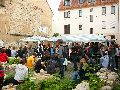 Bunte Republik Neustadt-2010