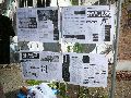 Bunte Republik Neustadt-2010