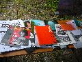 Bunte Republik Neustadt-2010