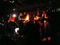 Bunte Republik Neustadt-2010