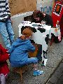 Bunte Republik Neustadt-2010