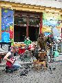 Bunte Republik Neustadt-2010