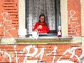 Bunte Republik Neustadt-2010