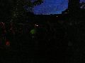 Bunte Republik Neustadt-2010