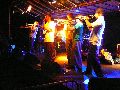 Bunte Republik Neustadt-2010