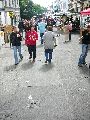 Bunte Republik Neustadt-2010