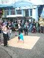 Bunte Republik Neustadt-2010