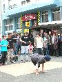 Bunte Republik Neustadt-2010