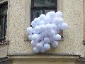 Bunte Republik Neustadt-2010