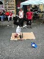 Bunte Republik Neustadt-2010